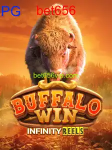 BuffaloWin